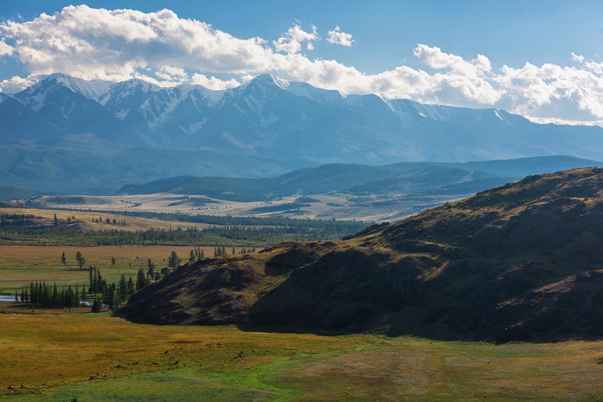 Курайская степь