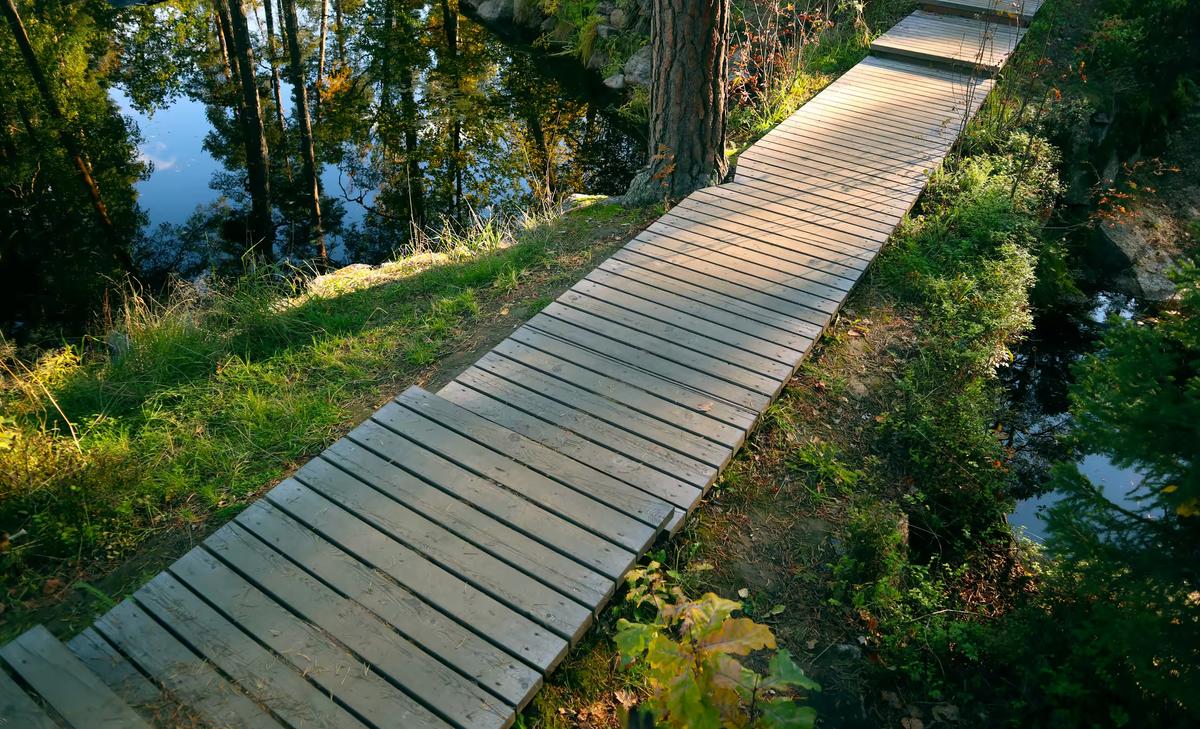 Деревянная пешеходная дорожка в природном парке Монрепо