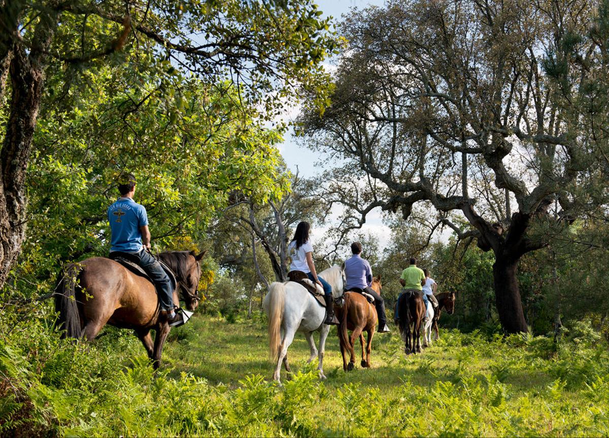 Group on horseback in the International Natural Park of the Tagus