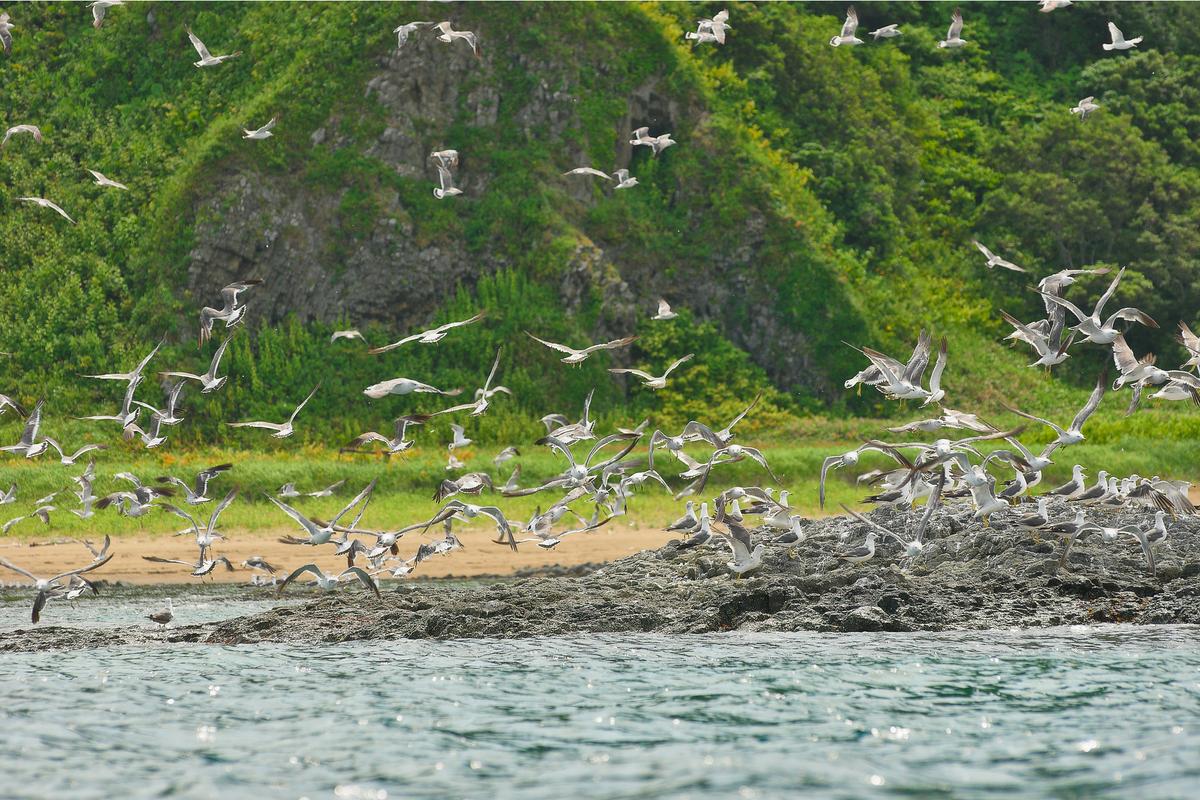 Охотское море на острове Кунашир