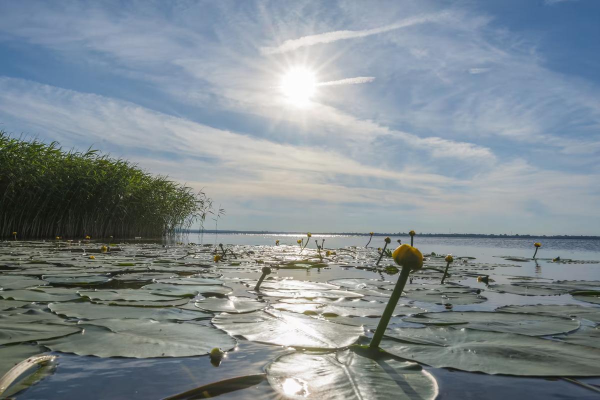 Вид на озеро Неро и водяные лилии