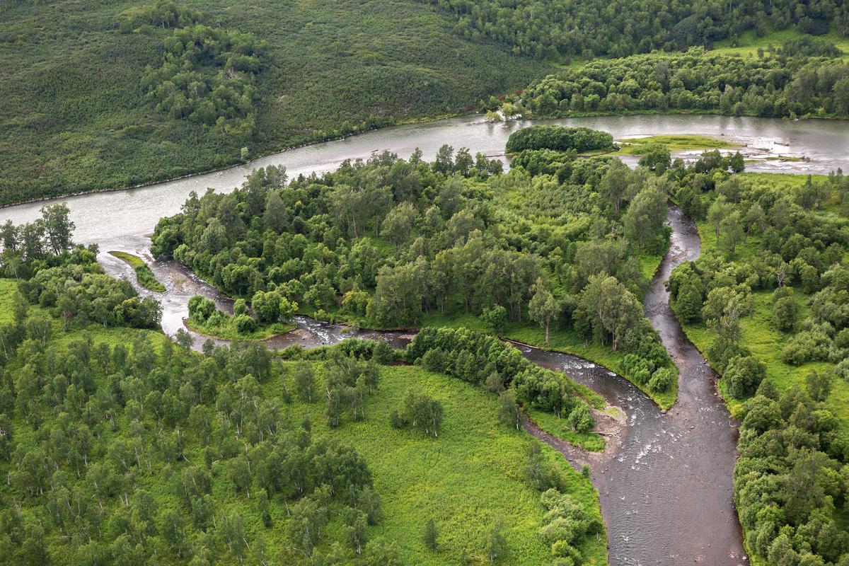 Река в Кроноцком заповеднике