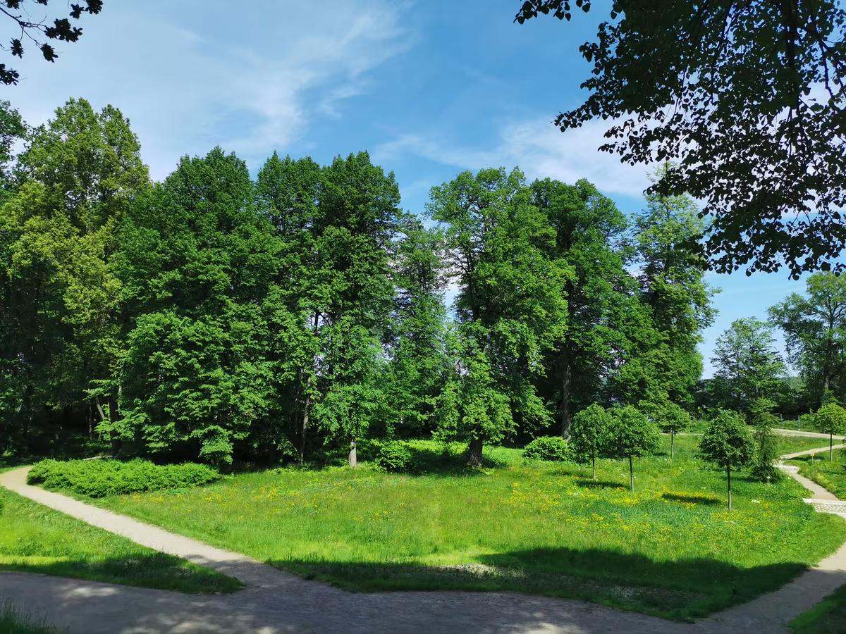Тропинка среди деревьев в скалистом природном парке Монрепо