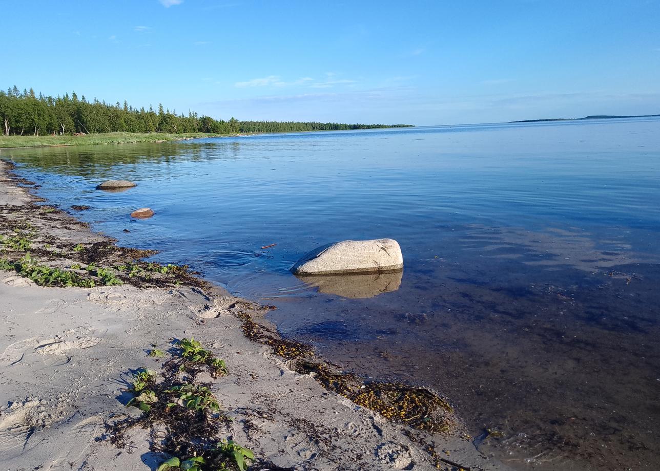 Организатора тура "Большая Страна" нашла в Интернете, когда искала подходящие для меня варианты на тему отдых