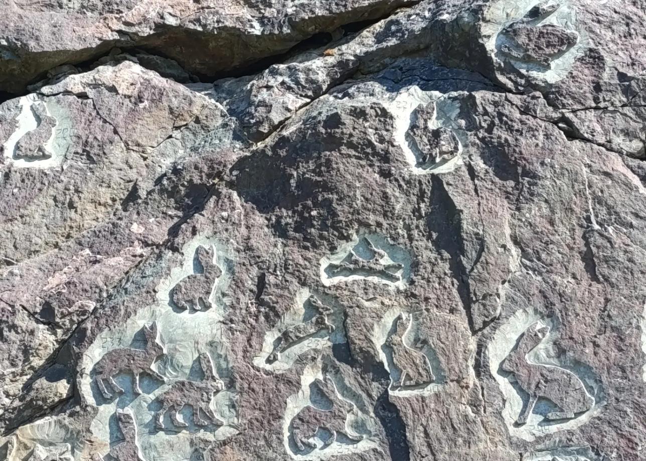 Спасибо огромное за предоставленное мероприятие. Хорошие душевные экскурсии и замечательные экскурсоводы. Посетить Тили прошли красные места