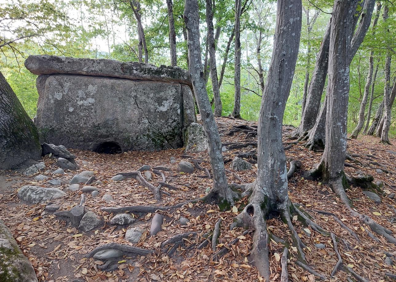 Интересный и познавательный тур. Спасибо за впечатления! А мелкие недостатки однозначно забудутся:)