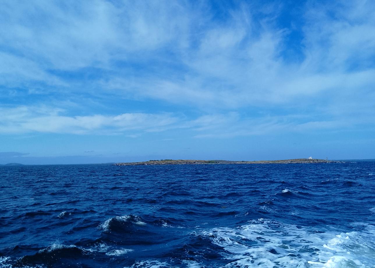 Организатора тура "Большая Страна" нашла в Интернете, когда искала подходящие для меня варианты на тему отдых