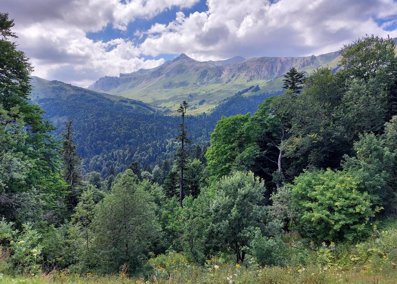 Интересный и познавательный тур. Спасибо за впечатления! А мелкие недостатки однозначно забудутся:)