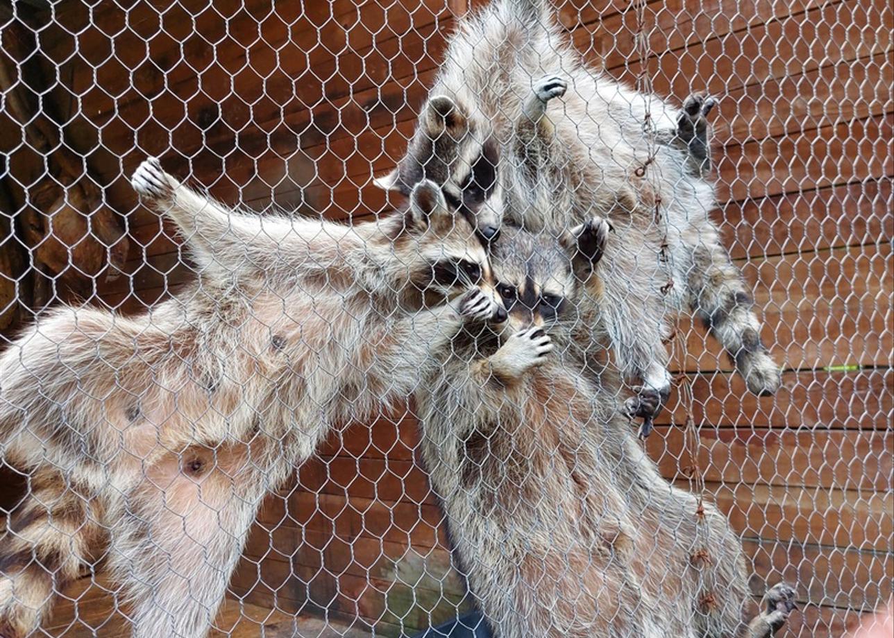 Интересный и познавательный тур. Спасибо за впечатления! А мелкие недостатки однозначно забудутся:)