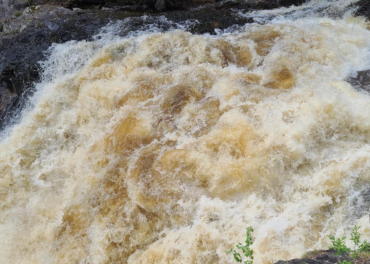 С "Большой Страной" отдыхали первый раз. Впечатления только положительные. Прекрасная Алла Солодовник, взявшая на себя заботу