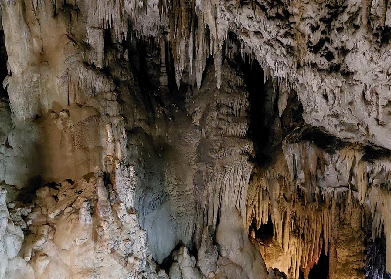 Интересный и познавательный тур. Спасибо за впечатления! А мелкие недостатки однозначно забудутся:)