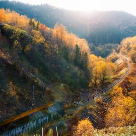 Золотая осень на Сахалине