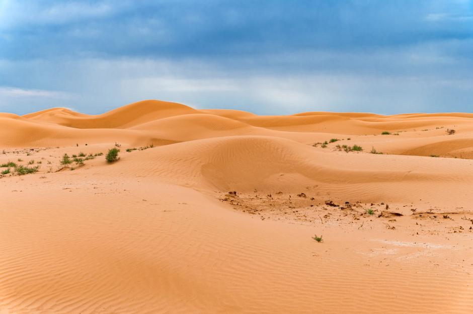 Песчаные дюны Калмыкии