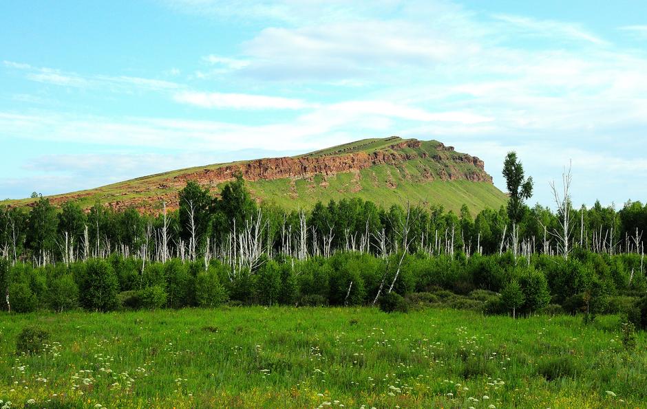 Густой березовый лес у подножия высокой горы с каменными образованиями на вершине